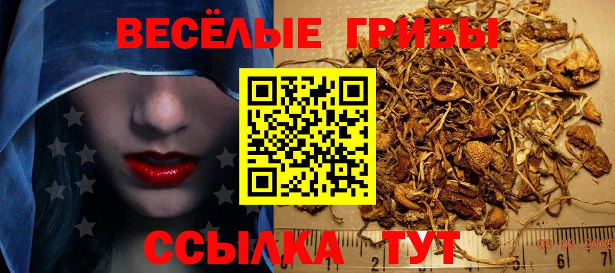 Троицк  Псилоцибиновые грибы прущие грибы  Галлюциногенные грибы MAGIC MUSHROOMS  Вход с VPN 
